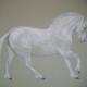 Highland Pony