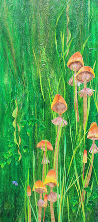 Meadow with Mushrooms