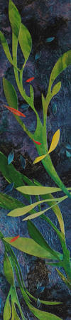 kelp - detail 2