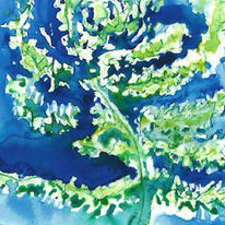 blue fern