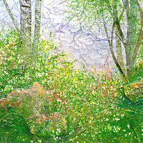 detail from Primrose Wood