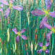Meadow with Purple