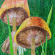 meadow with mushrooms…