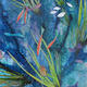 Coral Reef I detail…