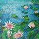 Waterlilies