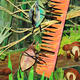 making music - detail…