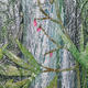 waterfall - detail 4