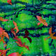 Pantanal detail 3