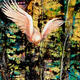 a detail from Moonlight…
