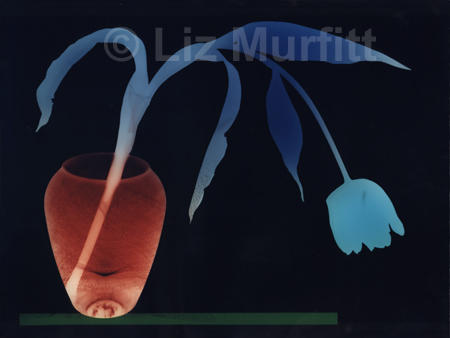 Tulip 1