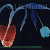 Tulip 1