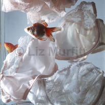 Untitled (Fish & Underwear)