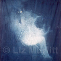 Traces