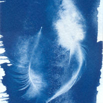 Feathers