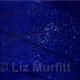 Starry Starry Night