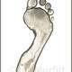 Footprint 2