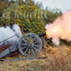 Cannon