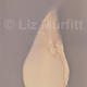 Pear (sunprint)
