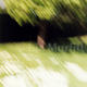 Contentment | £55 | | photograph Contentment