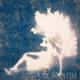 Memories of Summer | | | unique cyanotype photogram Memories of Summer