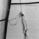 Guy rope
