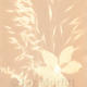 Sun print 1