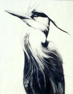 Heron