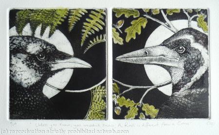 Unless you knew you wouldn't know: a Rook was different from a Crow