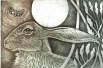 hare