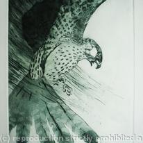 kestrel