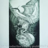 Heron Chick