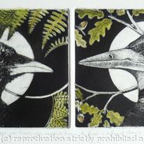 Unless you knew you wouldn't know: a Rook was different from a Crow