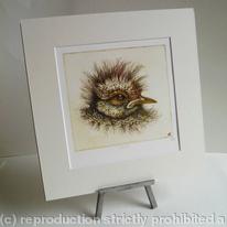 Chick