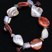 Sea Shells