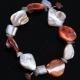 Sea Shells