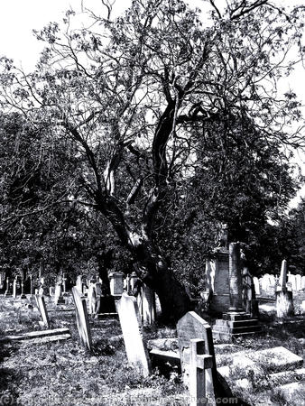 Graveyard 1