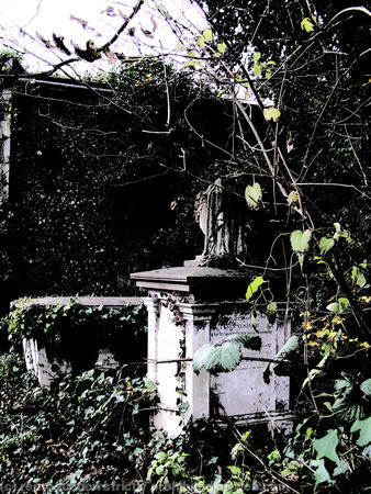 woodvale 2