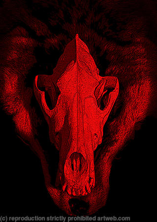 darkwolves logo