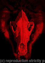 darkwolves logo