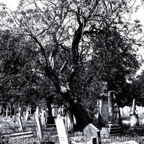 Graveyard 1