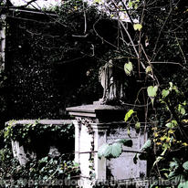 woodvale 2