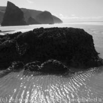 Shore