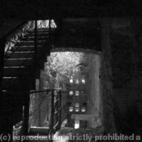 Steps