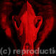 darkwolves-logo