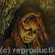 The Hermit