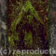 Memento Mori