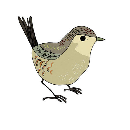 wren