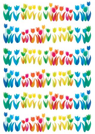 rainbow tulips