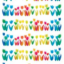 rainbow tulips