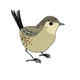 wren